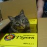 まさくん profil fotoğrafı