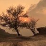 Фото профиля المحب ل🇸🇦🇸🇦