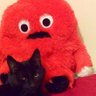 boggis the cat's profile picture