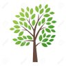 🌎🇺🇸🌿greenlovingirl💫💕🙏 profil fotoğrafı