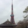 Фото профиля ニック
