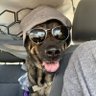 hodisr's profile picture