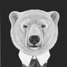 Profilbild von Armanni The Bear