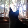 Fernando's profile picture