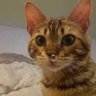 Фото профиля Les_memes_de_peron
