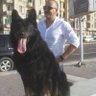 Ayman Asr Handy 的头像