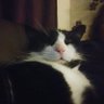 Tracy 😺😁's profile picture