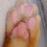 えこー's profile picture