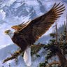 Profilbild von EagleFree