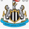 Shaun Mcconnell's profile picture