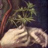 @ArteCiencia's profile picture
