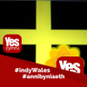 steve Thomas🏴#indy WalesFBIW,FBPE, 的头像