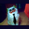 Zelig profil fotoğrafı