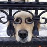 don's profile picture