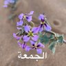 العزوة profil fotoğrafı