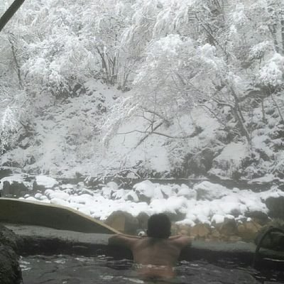 Shiriyaki1's profile picture