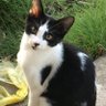 Mie's profile picture