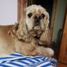Алекс profil fotoğrafı