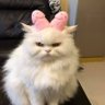 ไม่บอกหรอกปล่อยให้งง profil fotoğrafı