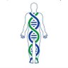 نتائج فح�� 🔬 DNA 的头像