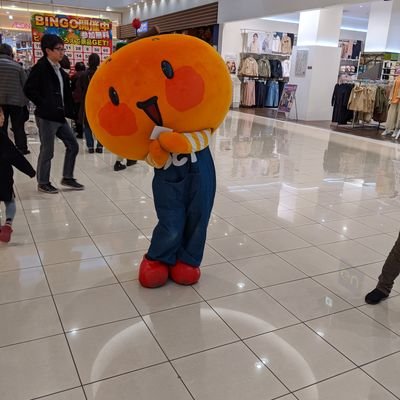 しまけん's profile picture
