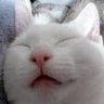 🐪白豆🐫 😊🌸😸 🌸🍡🌸🌸 的头像