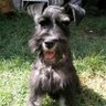 Profilbild von Carlos Araoz ExCaSer