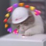 「Blex」's profile picture