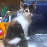 odynoabu profil fotoğrafı