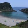 ゆうこりん profil fotoğrafı