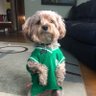 BostonMomof4's profile picture