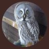 Truthbitch's profile picture