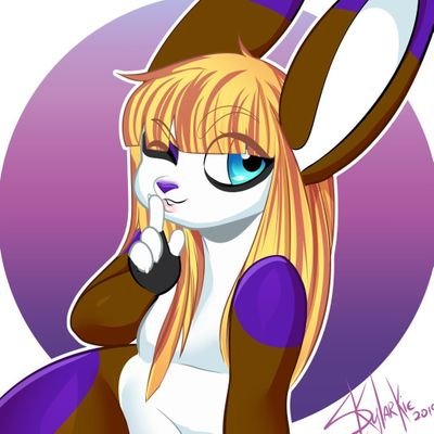 🇧🇷 Sally 🔜 Brasil FurFest 2026's profile picture