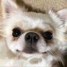 KS's profile picture