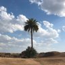 Gabraeil profil fotoğrafı