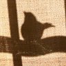 Juan Manuel León's profile picture