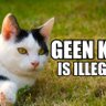 Gewoon Alletijd 🇳🇱 🇮🇱 的头像