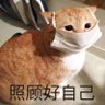 忆江南's profile picture