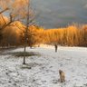 Lakes profil fotoğrafı