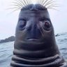 Marinnie Dor profil fotoğrafı