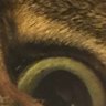 marie dupuis's profile picture