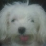 Profilbild von Logan Fontaine