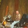 Life is Wood's profile picture