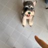 J profil fotoğrafı