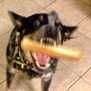 Profilbild von mac