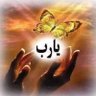 ahmed elshafy 的头像