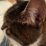Profilbild von Pupuce93