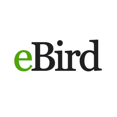 Team_eBird's profile picture