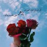 mmdoh mokdad's profile picture