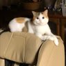 ドン's profile picture